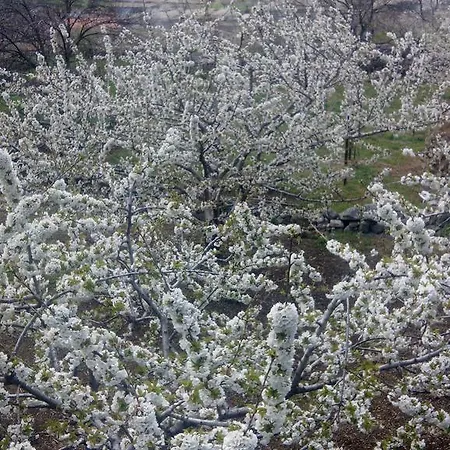 Inn Antigua Posada, Valle Del Jerte