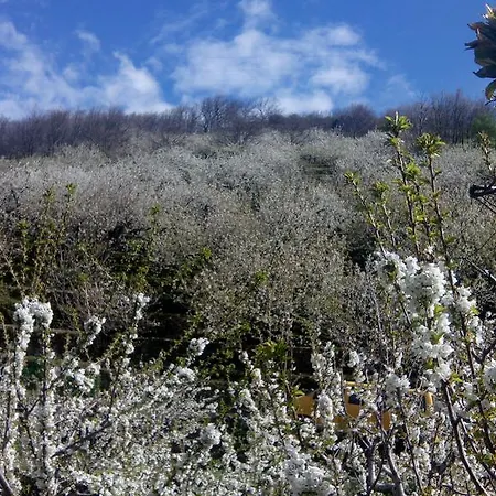 Inn Antigua Posada, Valle Del Jerte Tornavacas