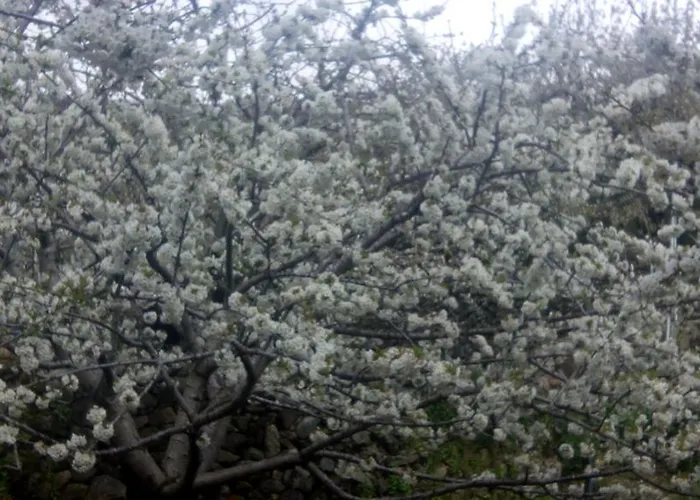 Antigua Posada, Valle Del Jerte Fogadó