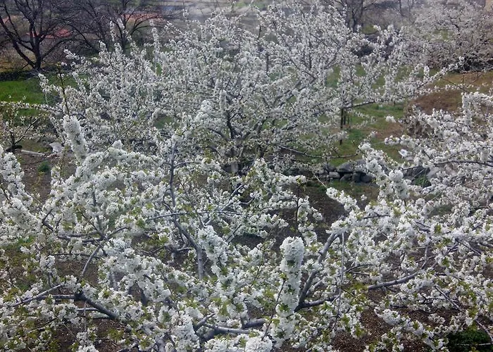 Πανδοχείο Antigua Posada, Valle Del Jerte