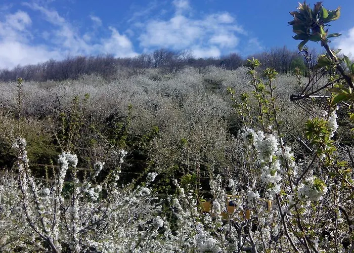 Πανδοχείο Antigua Posada, Valle Del Jerte Tornavacas